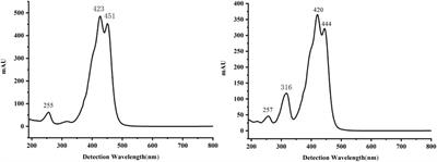 Iodine-induced synthetic method and pharmacokinetic study of cis- and trans-crocetin